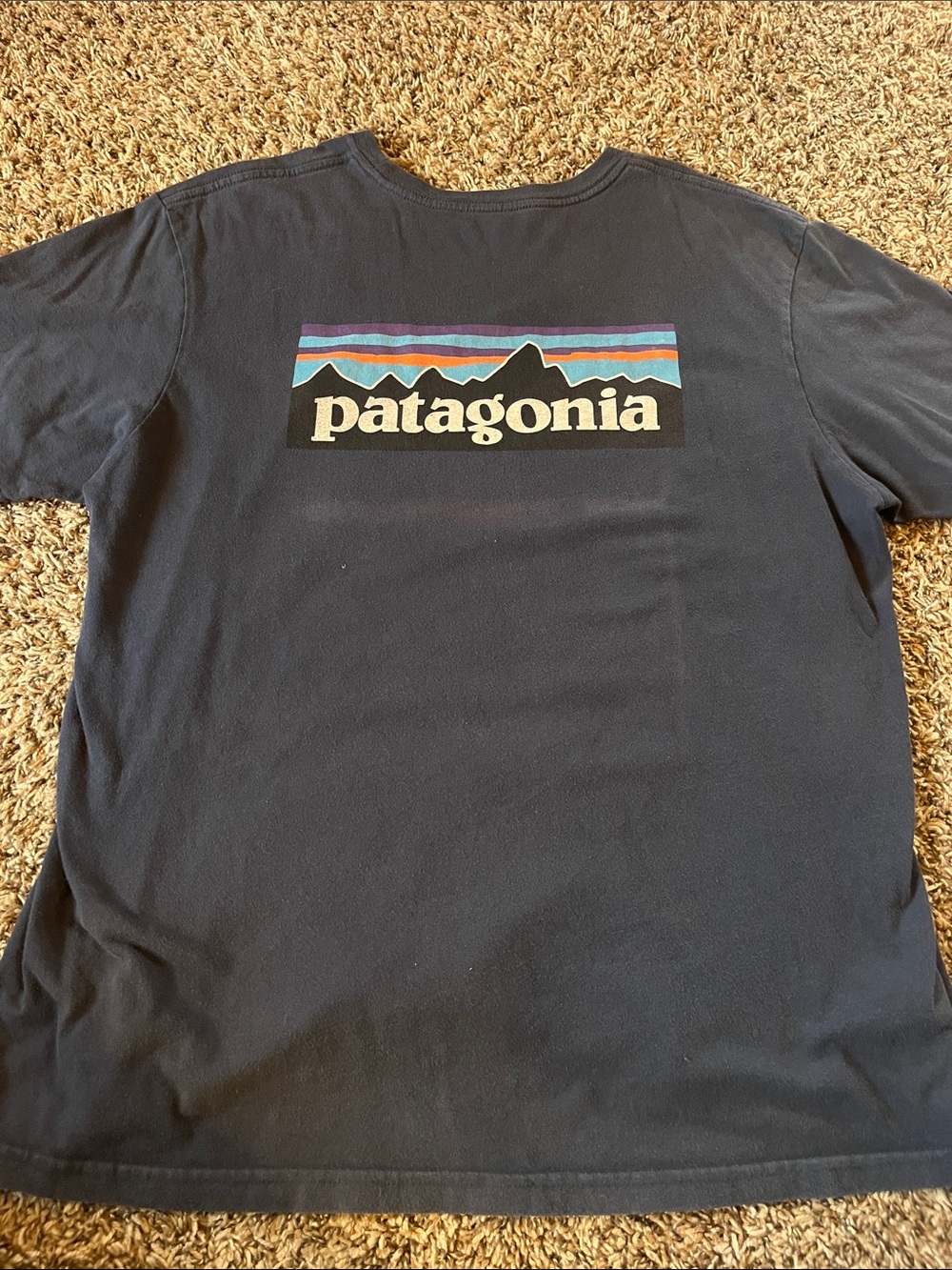 Patagonia Navy Short Sleeve Tee